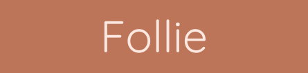 Follie Shop logo